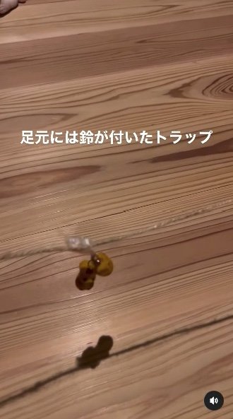 提供：西出翔さん