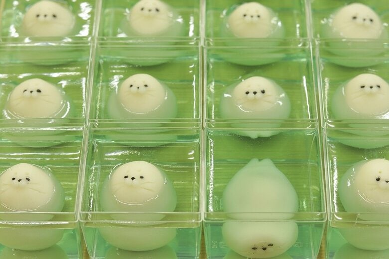 「ふ和ふ和浮遊水中園」のアザラシ