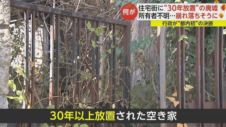 玄関口も草で生い茂っている