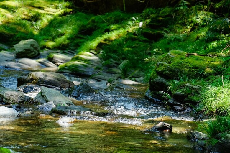 画像はイメージ