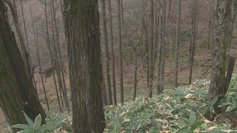 男性が遺棄された山林（長和町　2023年12月）