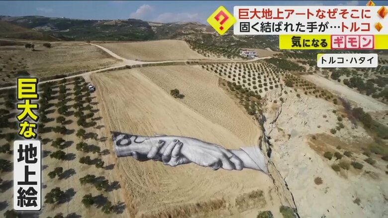 トルコ・ハタイのオリーブ畑に描かれた巨大な地上絵