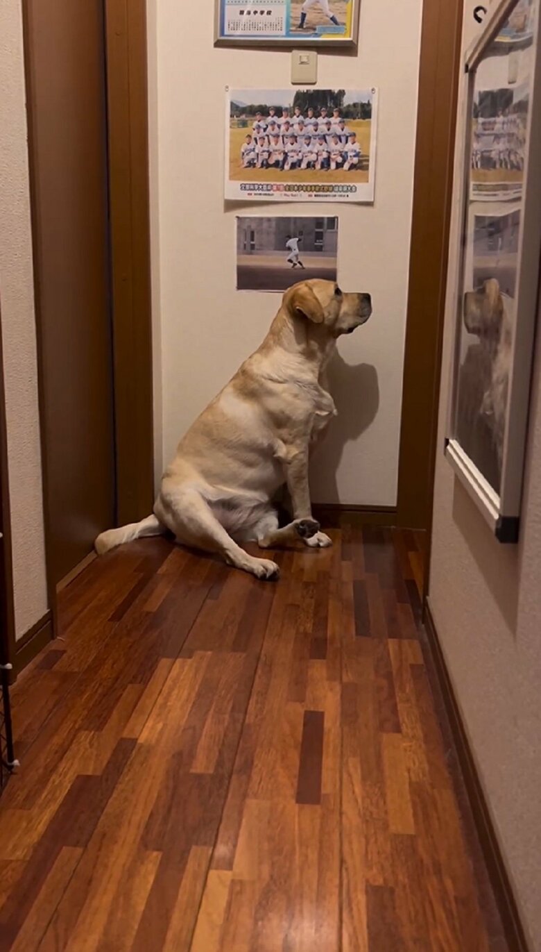 そして、反応を伺う　ジーッと扉を見つめている