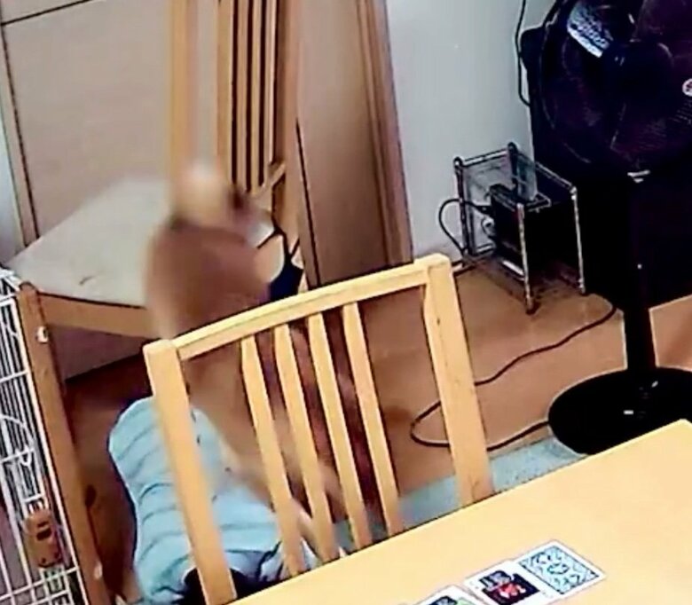 提供：柴犬勇者むぎさん