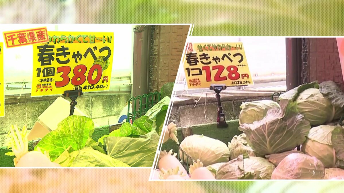 楽天市場】7/4-10 最大100%ポイントバック ののじ × キャベツの