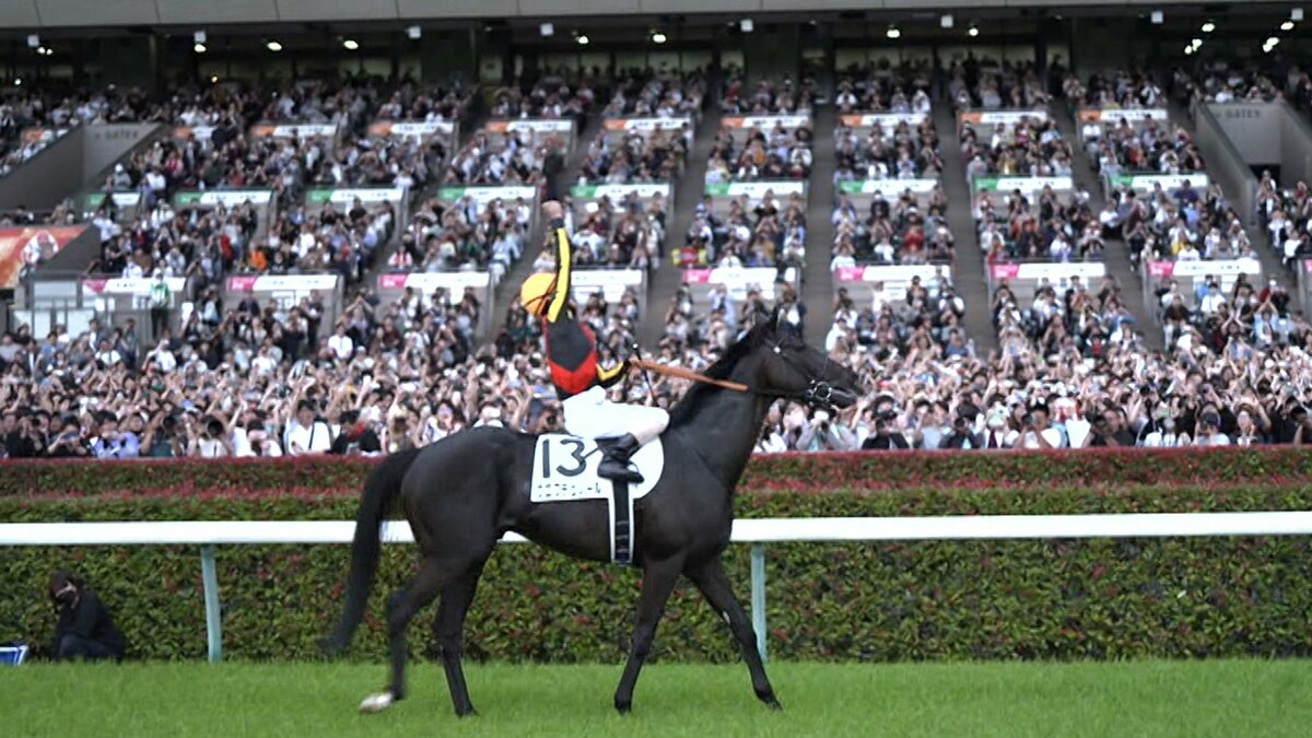 枠順が発表！生涯一度の夢舞台 日本ダービー・G1】3歳馬の頂点を決める 