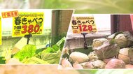 キャベツが1カ月で1/3に値下がり！きゅうり、なす、オクラなどの…