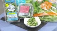 桜島大根スプラウト  植物工場で誕生「洗わず食べられるGABA豊富な新名物」