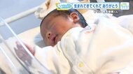 【サンキューベイビー】＃131　稲毛惟眞（いなも ゆいま）くん　「思いやりの心もって強くたくましく」