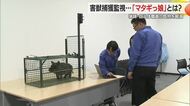 「マタギっ娘」かわいらしい商品名の心強い害獣捕獲監視システム・クマ出没で引き合い増加　山形・米沢市