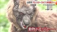 山形市がモンスターウルフ本格導入へ・実証実験経て　クマ・サル・イノシシなど野生動物撃退に効果　山形