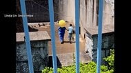 「パンチ君」のサル山に“着ぐるみ”で侵入　自称アメリカ国籍の男2人逮捕　千葉・市川市動植物園