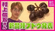 村上信五さんら開発のブドウ「パープルM」お披露目　小粒で割れにくく　「シャインマスカットにかわるところまでいきたい」と村上さん
