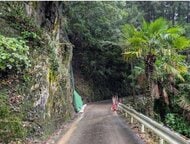 【速報】奈良・十津川村の国道425号　一部通行止めが解除　土砂崩れに伴う工事完了で
