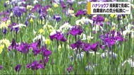 南楽園・花菖蒲まつり【愛媛県・宇和島】