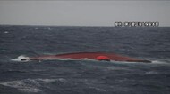 島根県隠岐の島沖の日本海で漁船転覆 乗組員9人が行方不明 韓国から出航した漁船(島根県)