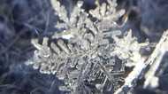 「#関東雪結晶」ってなに? 気象研究所が投稿を呼びかけるワケ