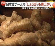 わさび高騰1年前の7割高に　しょうがも「過去にない」高値で飲食店が“悲鳴”　世界の日本食ブームに夏の猛暑が影響か