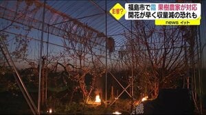 果樹農家が火を燃やして対策も…例年より早く咲いた花に遅霜<福島市>