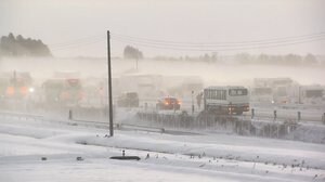 東北道で多重事故 “200人”巻き込まれ... ホワイトアウトか 1人死亡