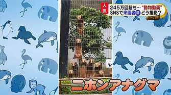 動物園snsのかわいすぎる 動物動画 が超人気 あの 決定的瞬間 はどうやって撮影したの