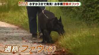 わずか3分で行方不明者を発見した警察犬 犯罪捜査での活躍も期待されているその嗅覚に迫った