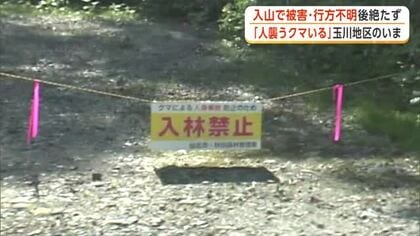 「人襲うクマがいる」とされるエリアで後絶たない入山者　「止めようがない」ハンターが警鐘鳴らす　秋田