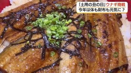 一尾をひとり占めも！？26日は「土用の丑の日」ウナギ値下がりで店側は品揃え強化「超特大」も登場