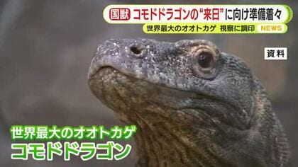 世界最大のオオトカゲ・コモドドラゴンの“来日”に向け準備着々　視察に調印　インドネシアの国獣が静岡へ