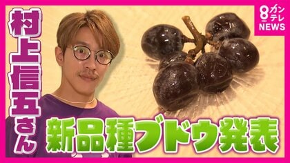村上信五さんら開発のブドウ「パープルM」お披露目　小粒で割れにくく　「シャインマスカットにかわるところまでいきたい」と村上さん