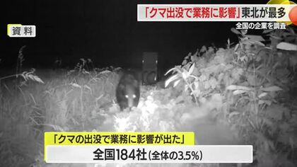 クマ出没で「業務に影響が出た企業」の割合　東北地方は約2割に上り全国最多　山形