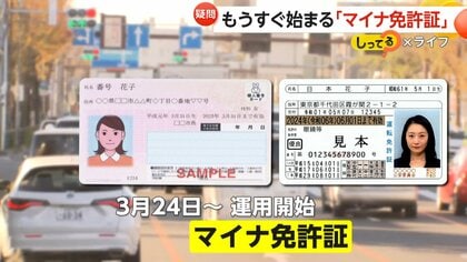 【解説】マイナ免許証3月24日運用開始「めちゃくちゃいい」更新時講習がオンラインに！更新手数料や住所変更手続きにもメリット【しってる？】