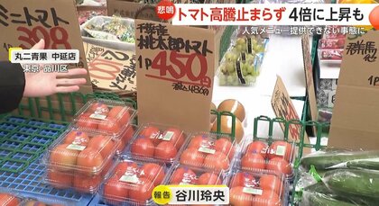 トマトの高騰止まらず…青果店「298円くらいが450円に値上がり」卸売り