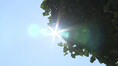 正午で「真夏日」が700ヵ所　埼玉・熊谷市は40度予想で今年初の「酷暑日」か　災害級の暑さに要警戒
