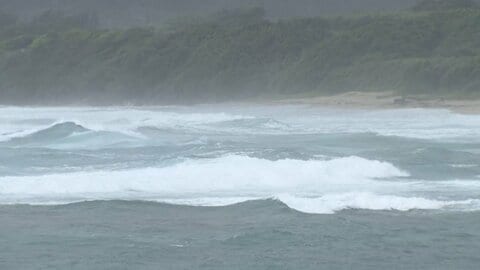 【台風情報】奄美大島　台風7号の強風域に　航空機・フェリーは欠航　バスも午後から運休　ほとんどの小中学校が臨時休校に