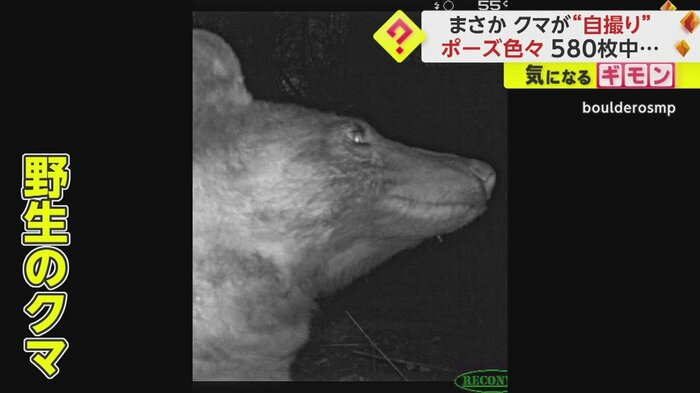 横顔が決まっている一枚