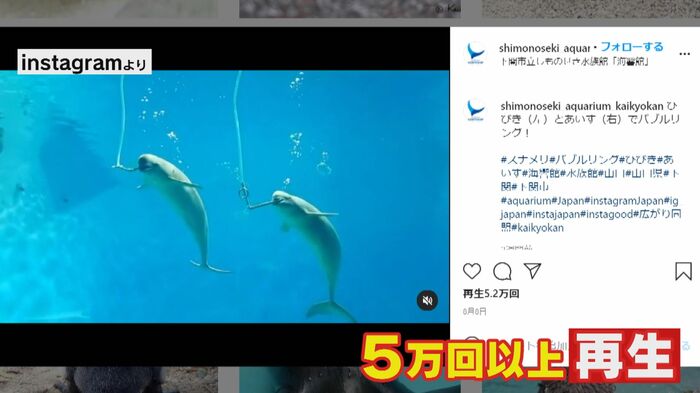 Instagramより