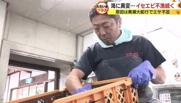 山本浩平 課長(伊豆漁協南伊豆支所 販売課)