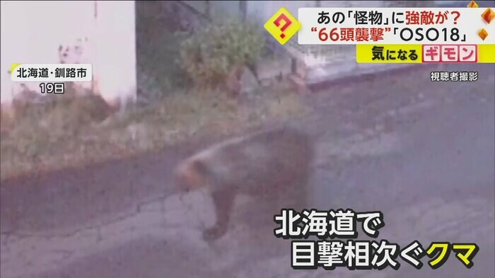 19日、北海道・釧路市で出没したクマ