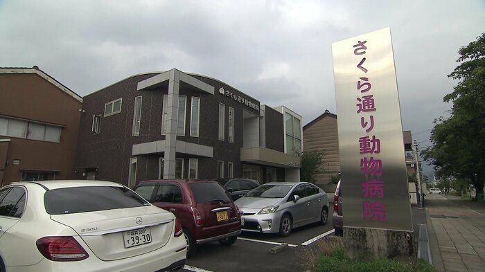 夜8時過ぎまで診察