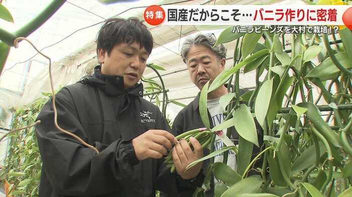 使い道や要望を聞いて、栽培や加工に生かす