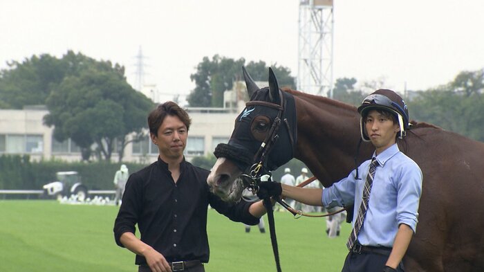 グリーンチャンネルCを制したオメガギネス