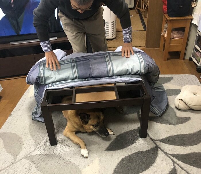 別日の掃除の時の様子