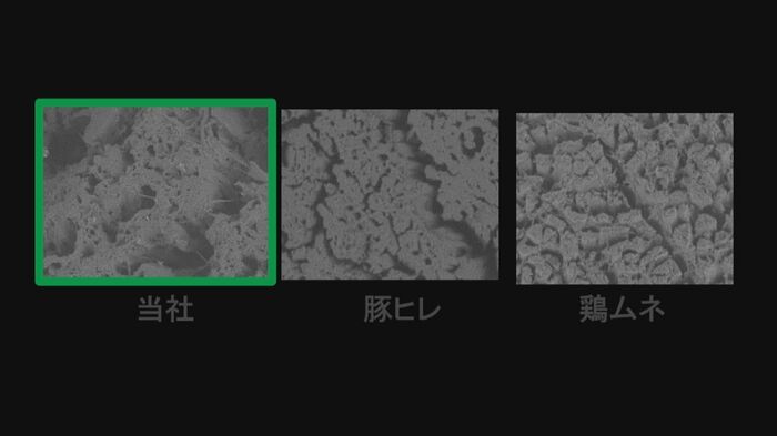 本物の肉との繊維比較(亀田製菓提供)