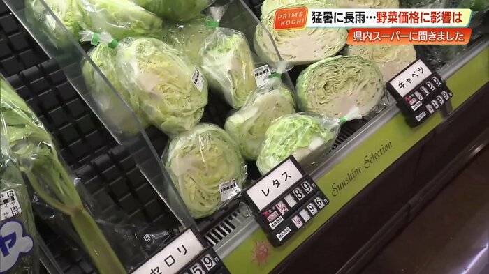 キャベツやレタス。品薄で高騰していたが、今は落ち着いている