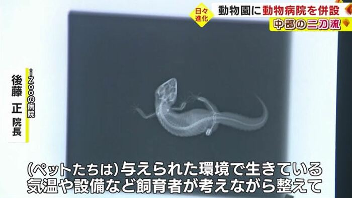 動物病院には様々な機器が