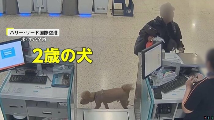 犬を連れてカウンターに来た女（LVMPO）