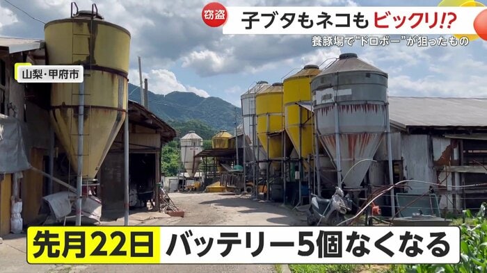 前日にも被害を受けていた養豚場(提供:ちのふぁーむ)