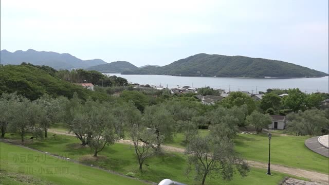 観光の島に明るい兆し!小豆島で新商品の販売本格スタート【香川】