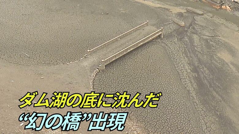 ダム湖に「幻の橋」が姿をあらわす　記録的少雨で農家には打撃　ブロッコリーの生育遅れや収穫量減など影響【大分発】｜FNNプライムオンライン